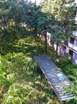 hashimoto apartments down view
